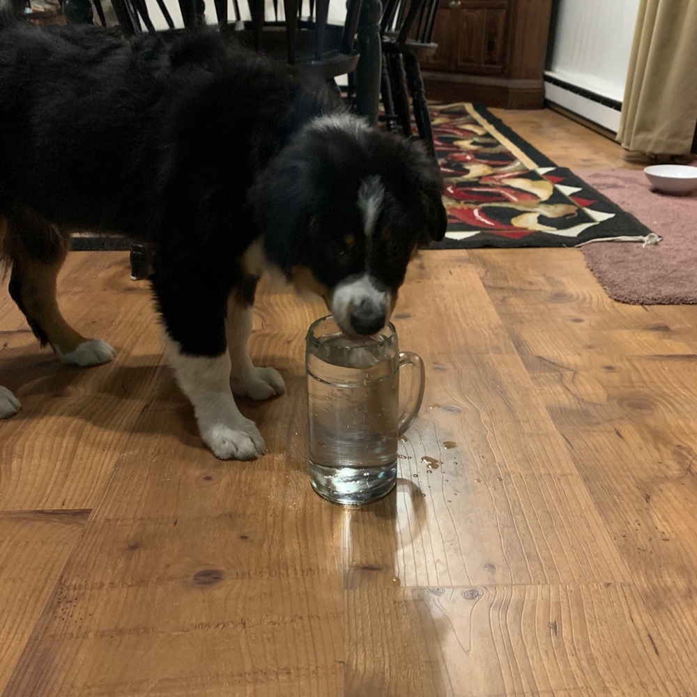 Meet your Posher, Katherine